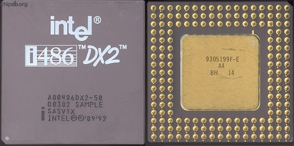Intel A80486DX2-50 Q0382 SAMPLE