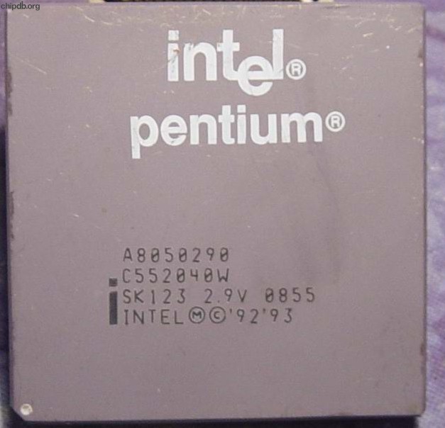 Intel Pentium A8050290 SK123