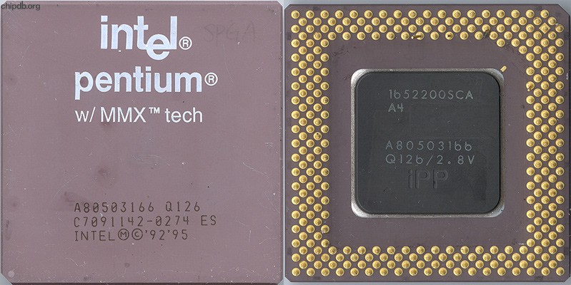 Intel Pentium A80503166 Q126 ES