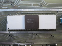 AMD AM2901DC white ceramic black lid