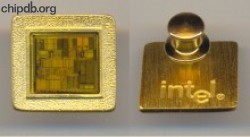 Intel pin with chip