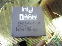 Intel A80386DX-16 IV SX236