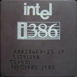 Intel A80386DX-25 IV SX481