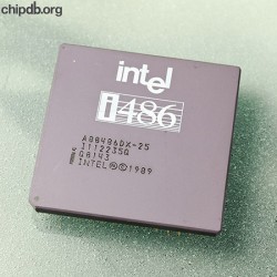 Intel A80486DX-25 Q0143