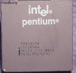 Intel Pentium A8050290 SK123
