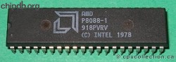 AMD P8088-1 bold logo