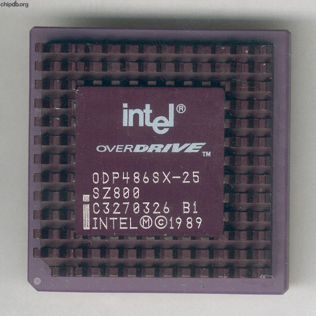 Intel ODP486SX-25 SZ800